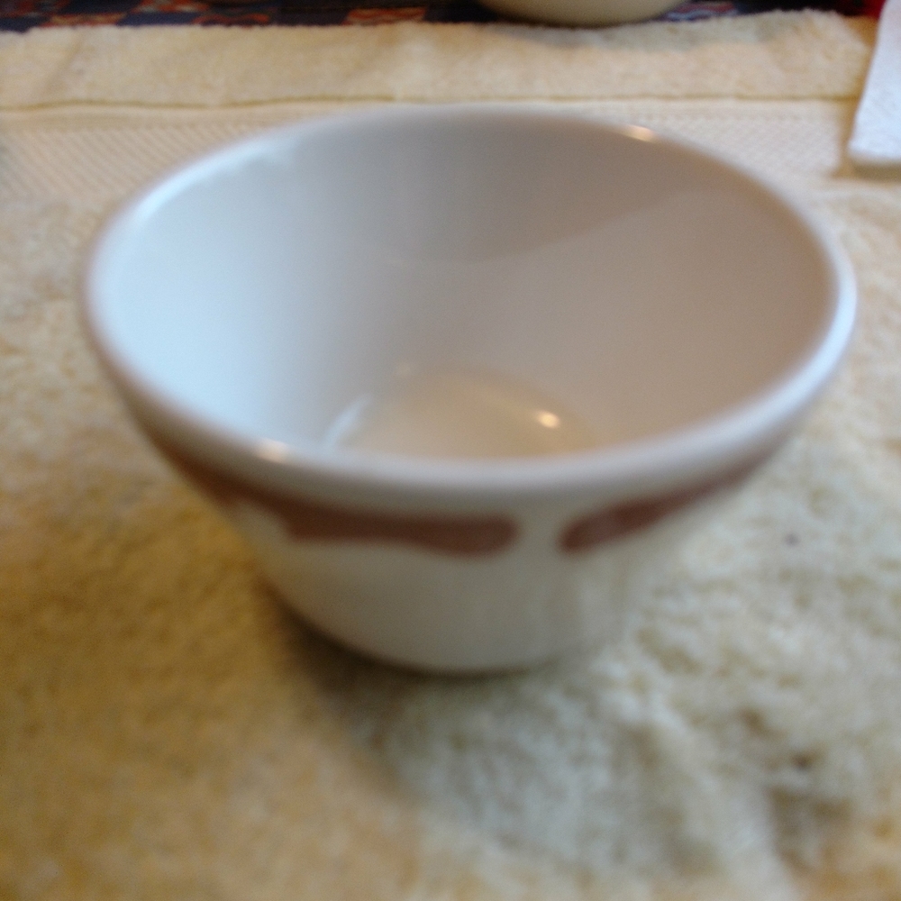 Vintage White Buffalo China Bowl